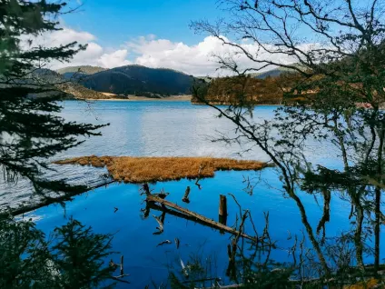 ワゴンベット カジノ モバイルアプリ